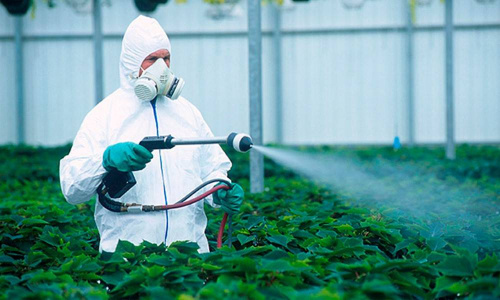 АНОНС: Учебный центр ФГБУ «ВНИИЗЖ» проведет обучение по отбору проб продукции и почвы для определения содержания пестицидов