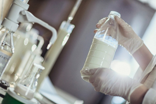 В питьевом молоке специалистами лаборатории обнаружены бактерии группы кишечной палочки
