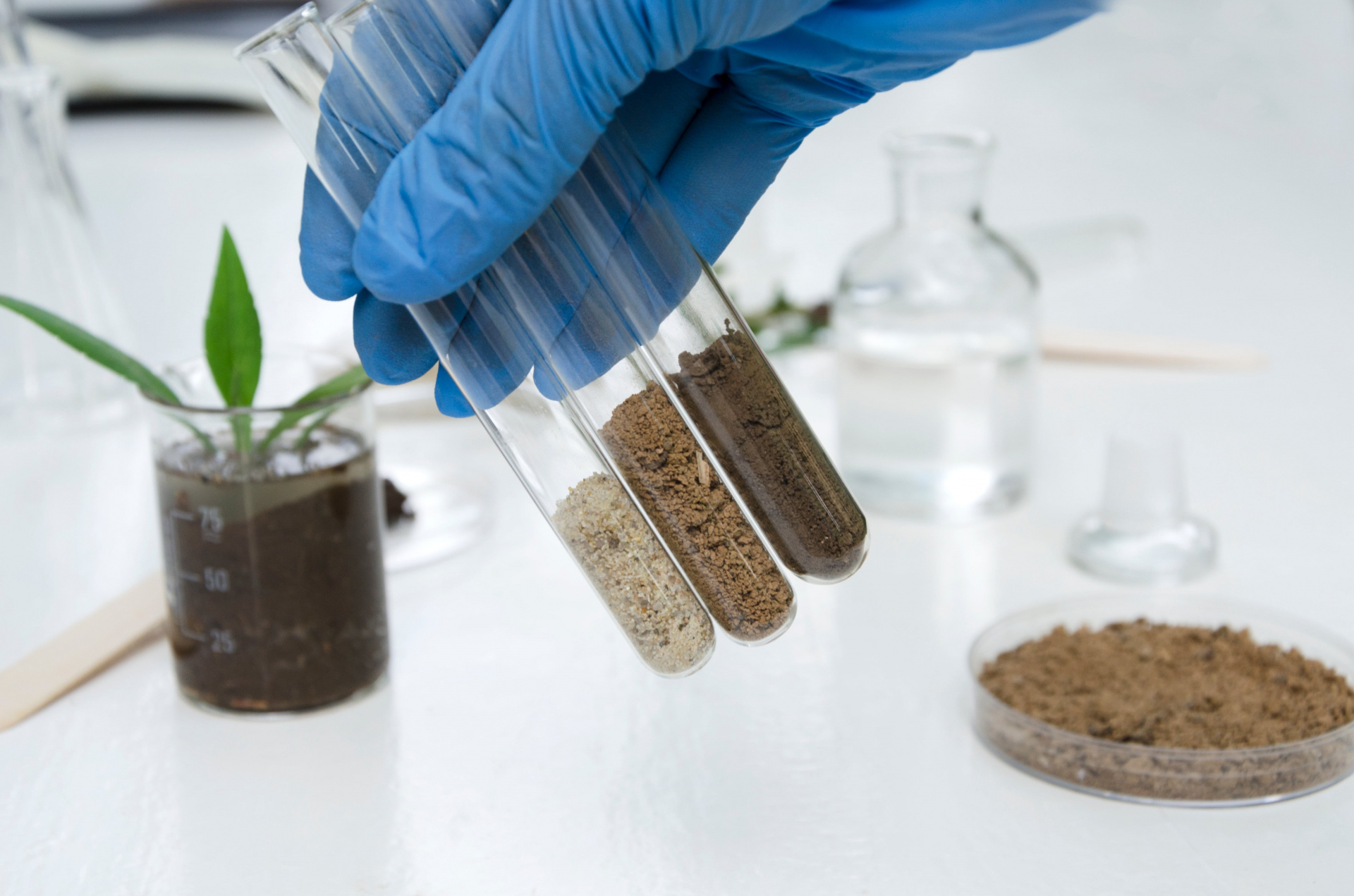 Специалистами лаборатории при проведении исследований проб почвы зарегистрированы нарушения требований санитарных правил и норм