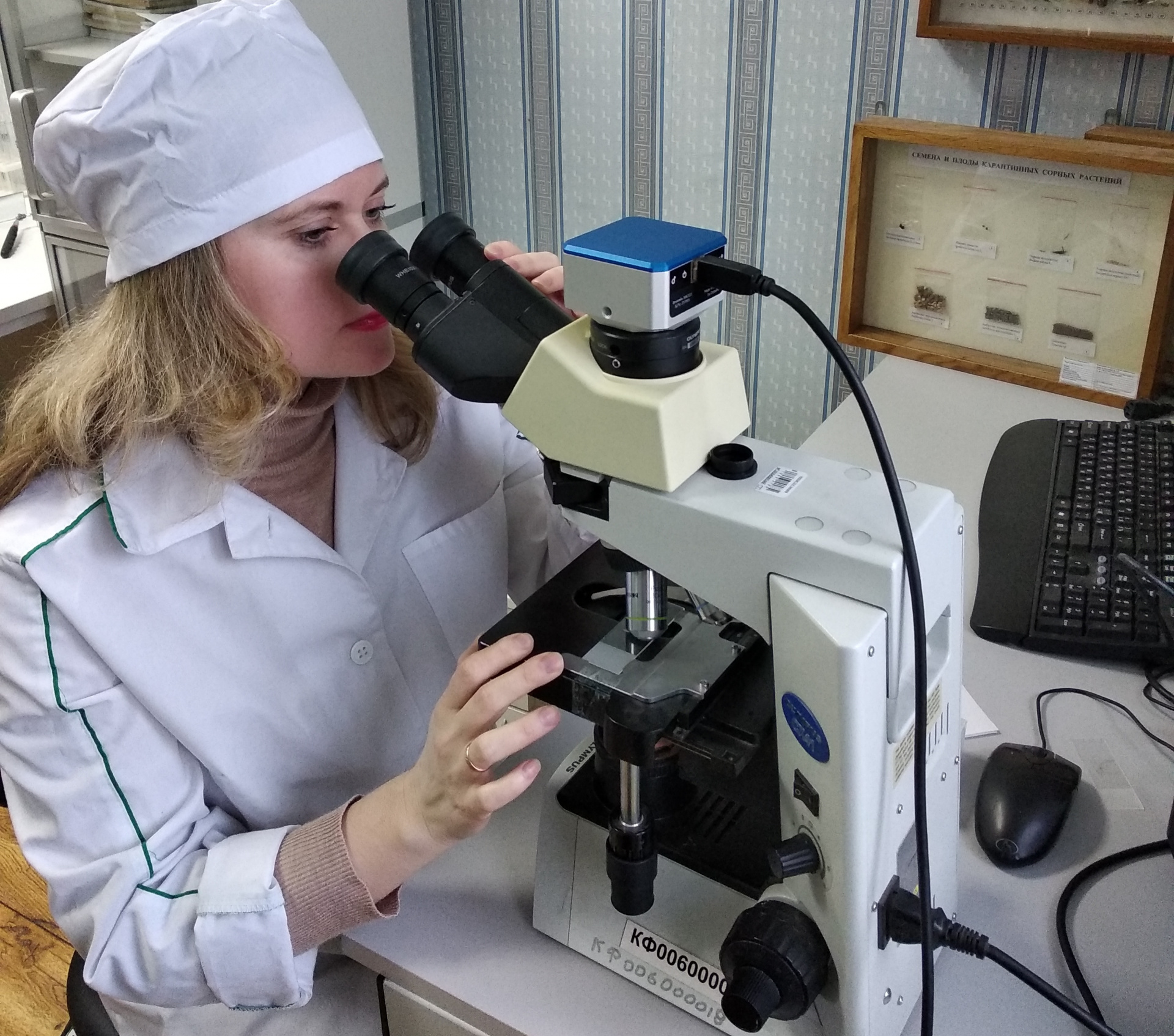 В июне специалисты Костромского отдела лаборатории исследовали свыше 1100 проб