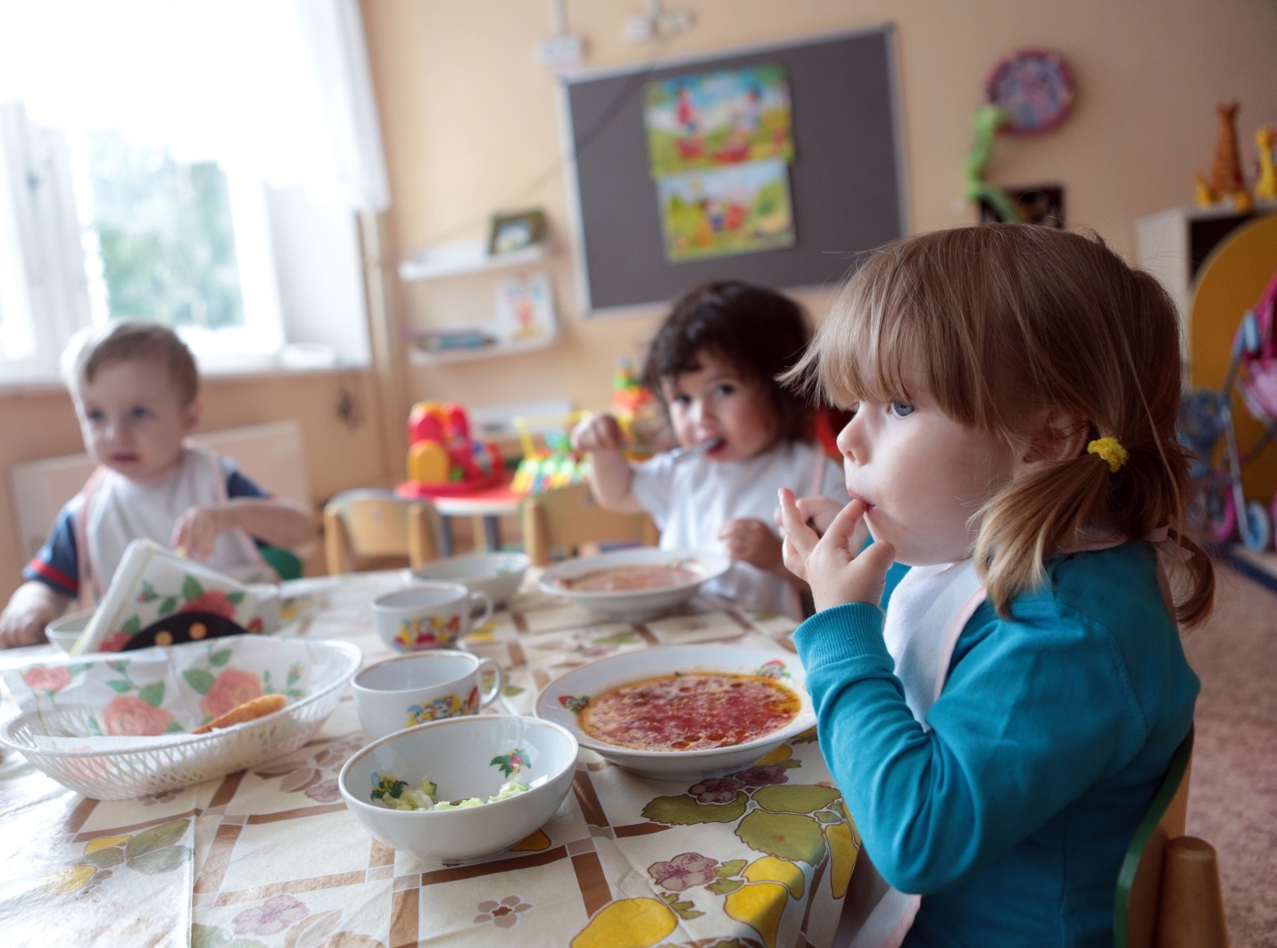 В отобранной в детском саду пробе пищевой продукции выявлены опасные бактерии