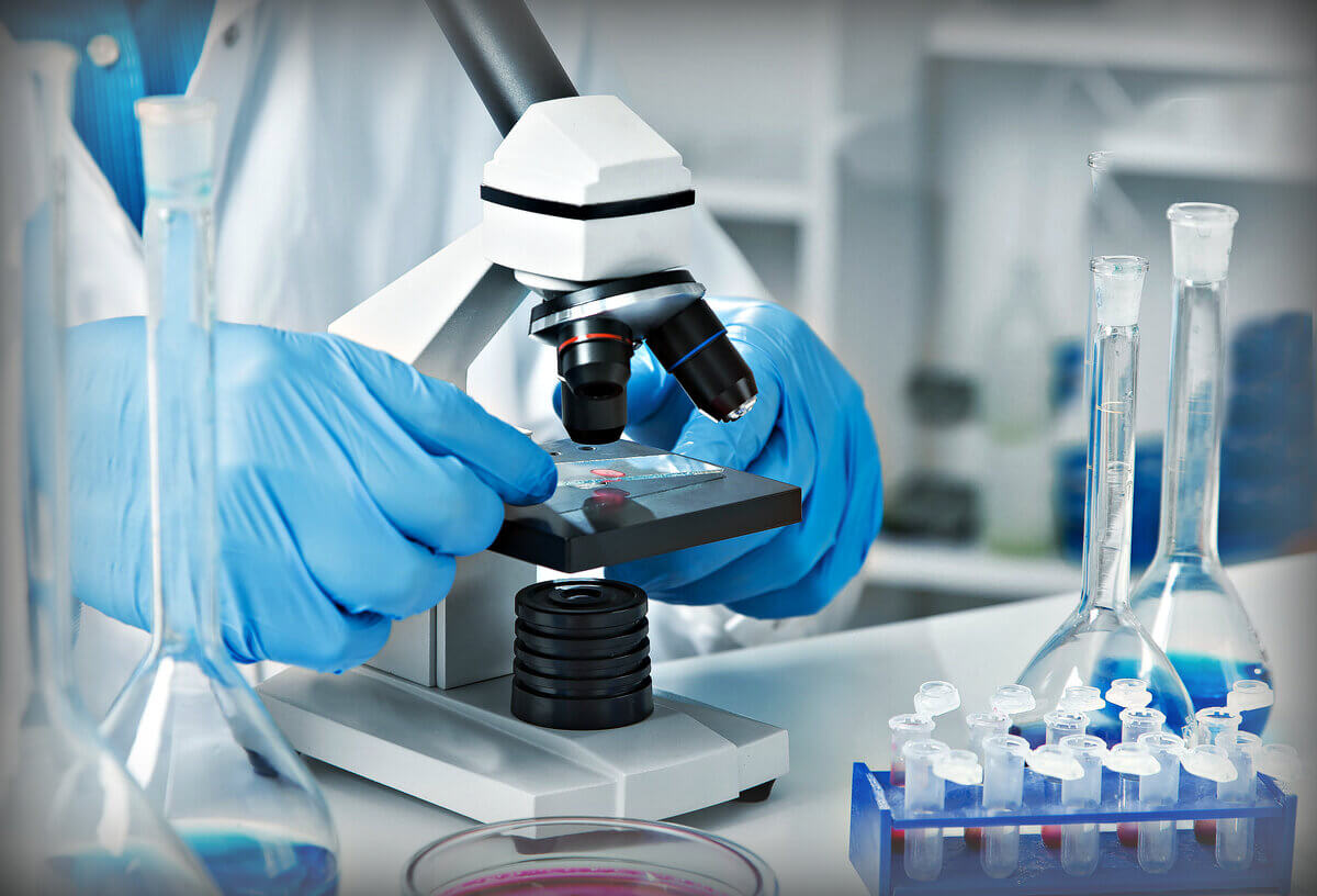 Порядка 1500 паразитологических и санитарно-паразитологических исследований проведено лабораторией в феврале