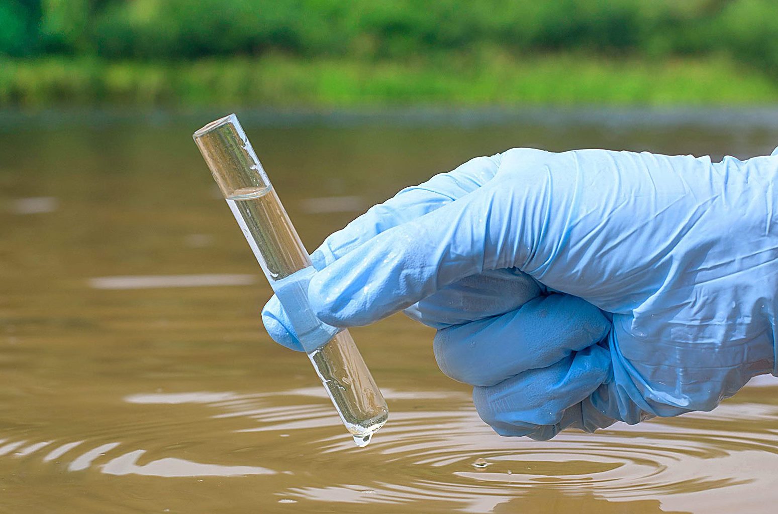 В пробе воды из пруда зарегистрированы превышения по показателю «обобщенные колиформные бактерии»