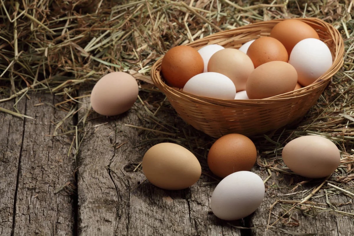 В куриных яйцах выявлен доксициклин