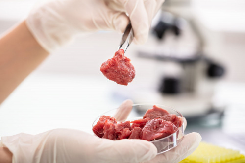 В образце мясного продукта зарегистрировано многократное превышение нормы лекарственного препарата