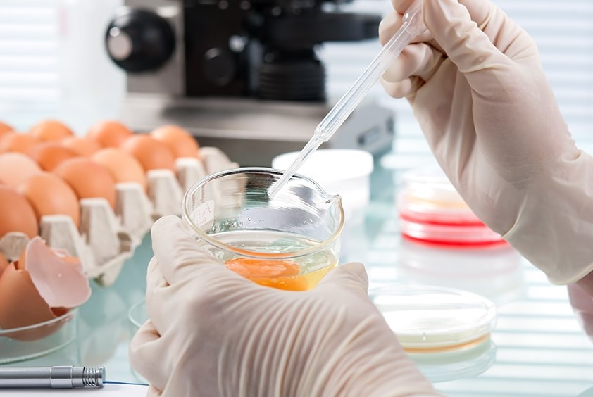 Препарат группы кокцидиостатиков выявлен специалистами лаборатории в образцах куриных яиц