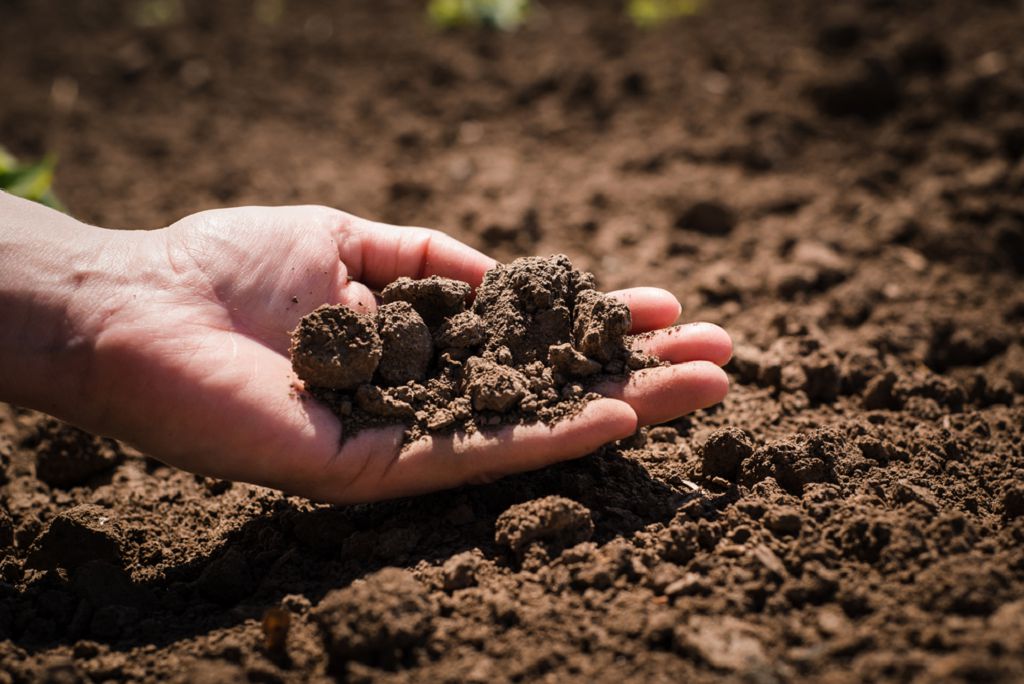 Специалисты лаборатории провели исследования почвы из Сандовского района Тверской области